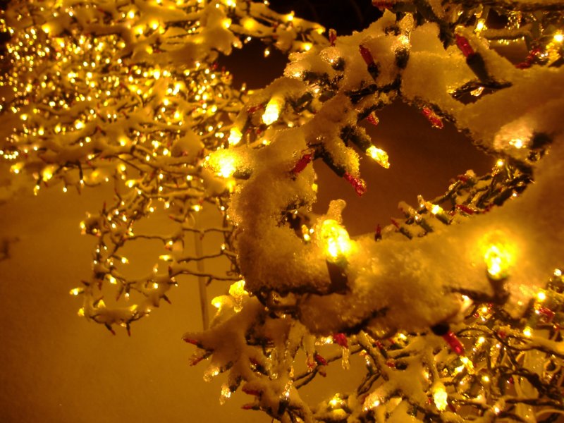 dscf1314.jpg