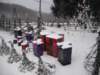 dscf0065_small.jpg