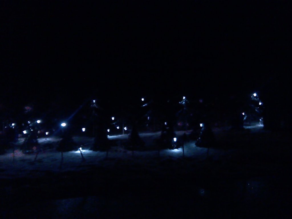 img_20131202_190811_570.jpg
