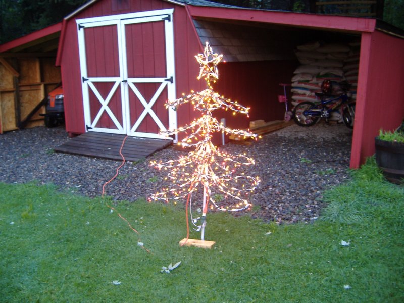 mediumtree.jpg
