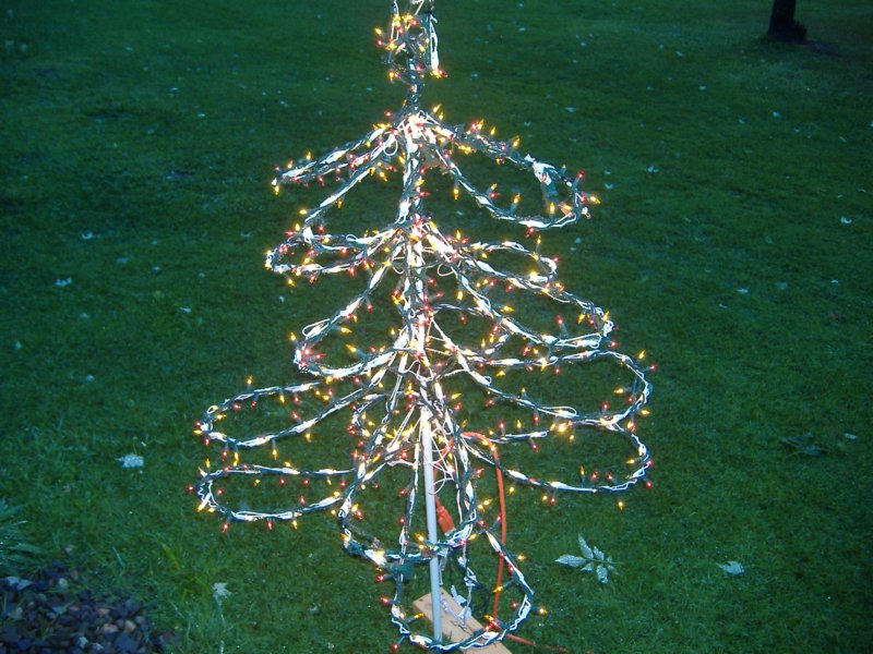 mediumtree3.jpg