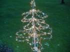 mediumtree3_small.jpg