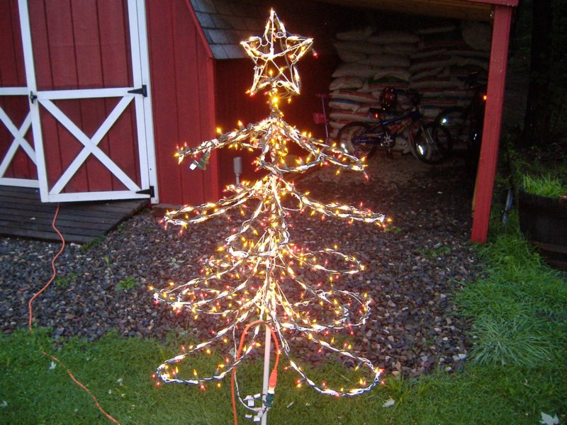 mediumtree4.jpg