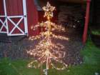 mediumtree4_small.jpg