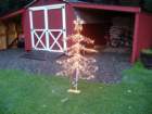 mediumtree_small.jpg
