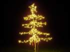 mediumtreegold_small.jpg